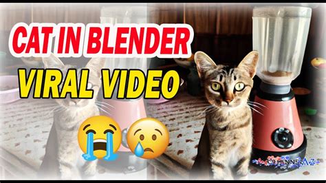 I watched the cat blender video out of curiosity and now i can